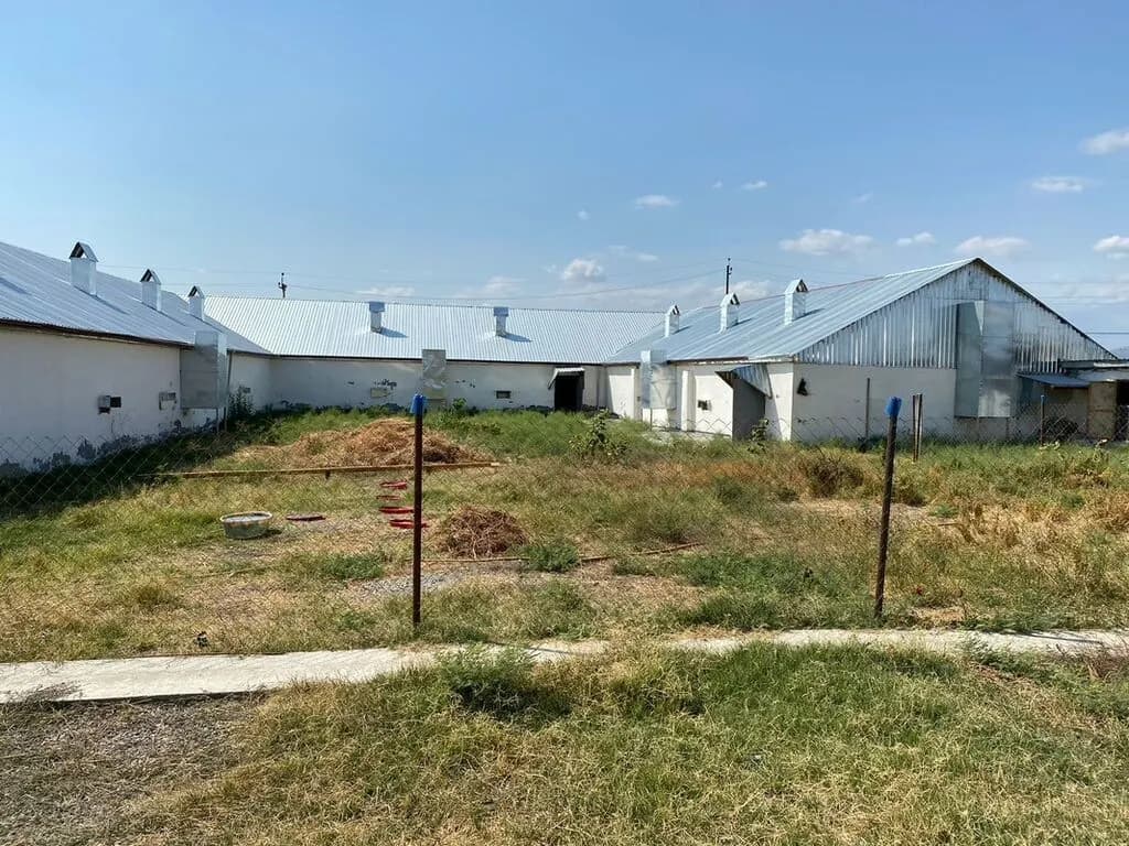 📍 Ünvan: Ağsu rayonu, Bozavad kəndi 📏 Sahə: 85 sot 📜 Sənəd: Kupça ✨